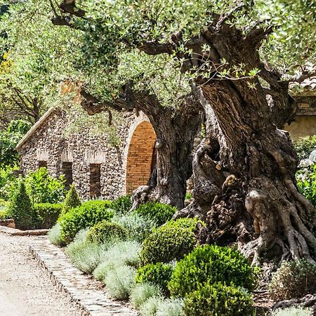 فندق Domaine Les Mesanges جاسّا المظهر الخارجي الصورة