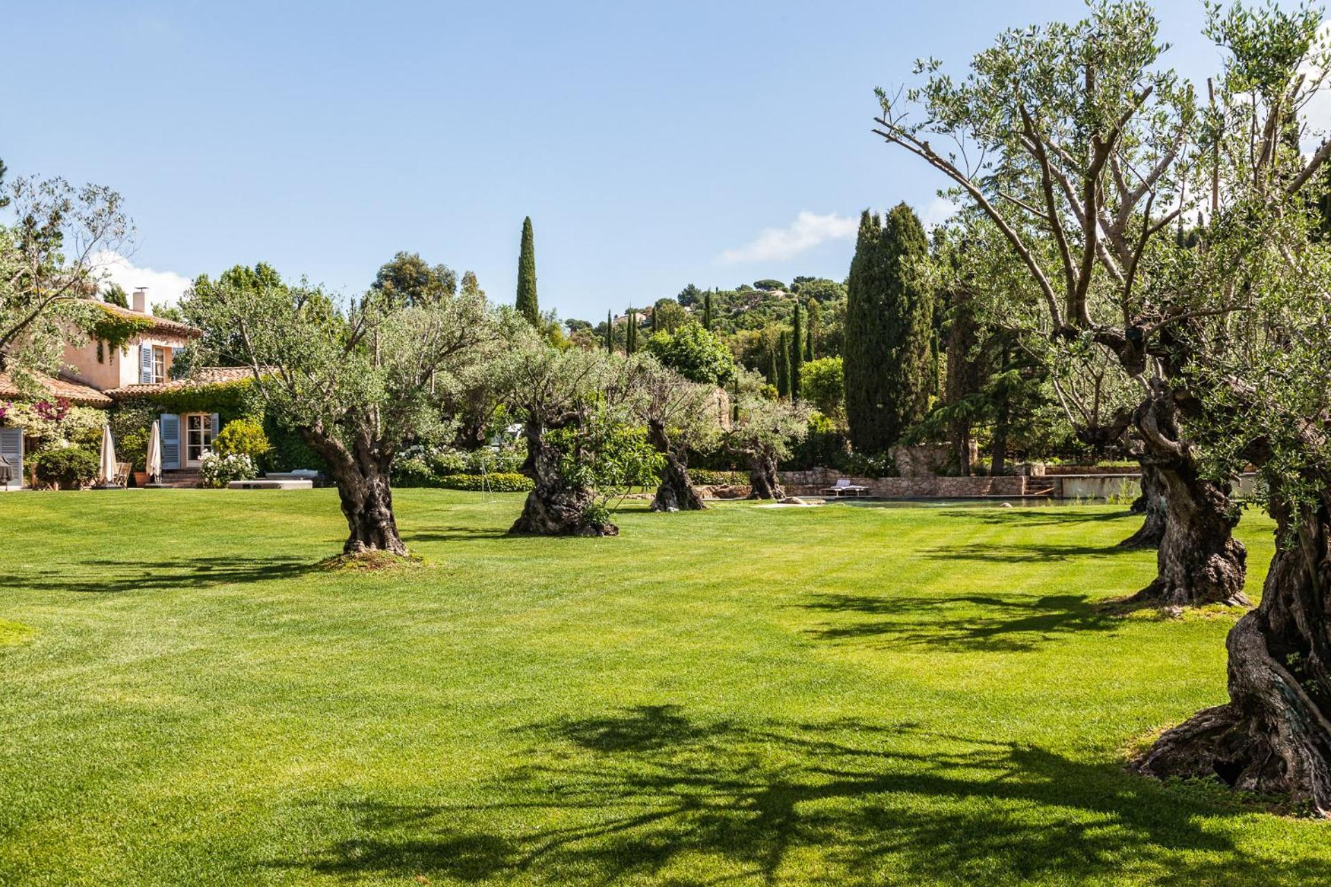 فندق Domaine Les Mesanges جاسّا المظهر الخارجي الصورة