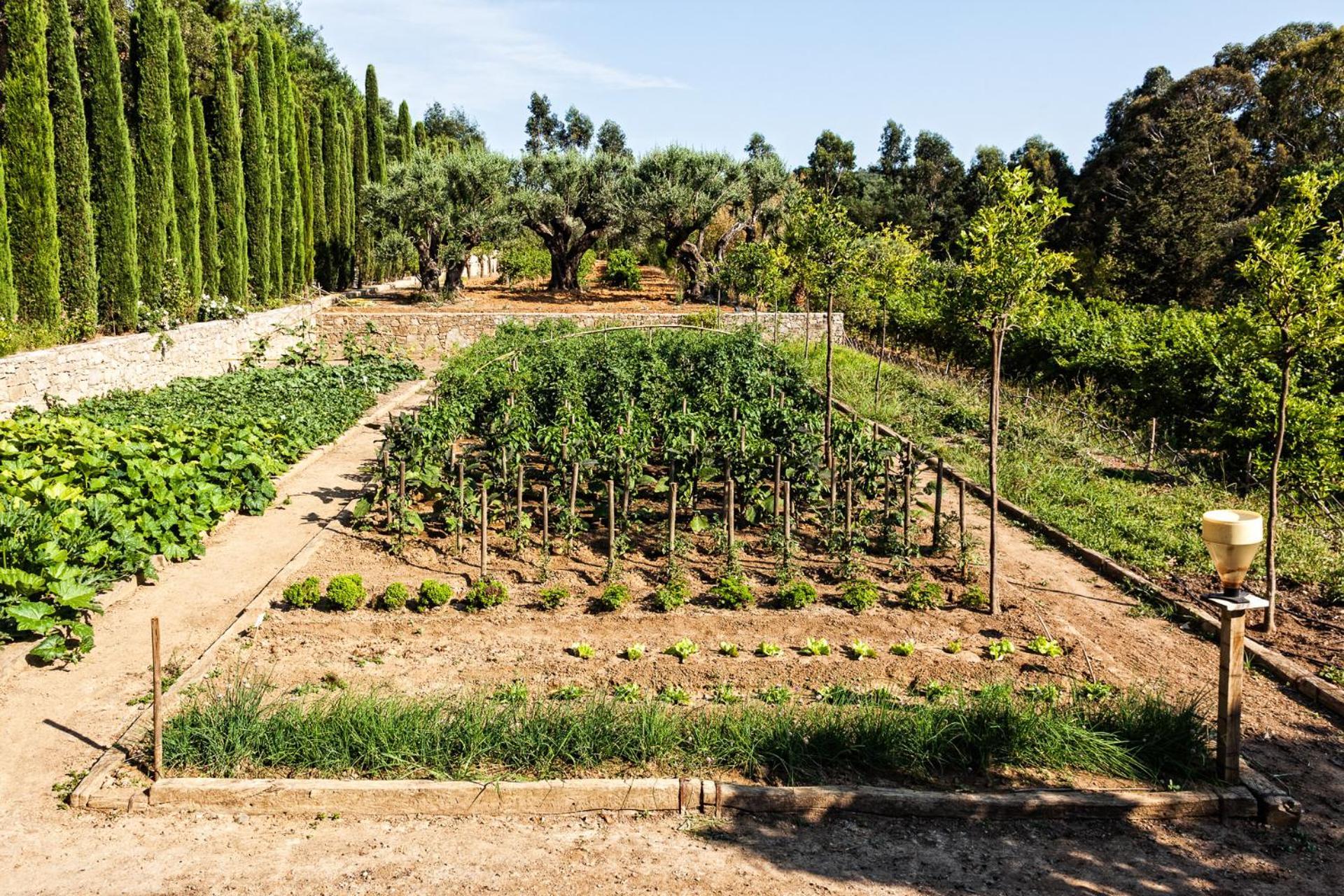 فندق Domaine Les Mesanges جاسّا المظهر الخارجي الصورة