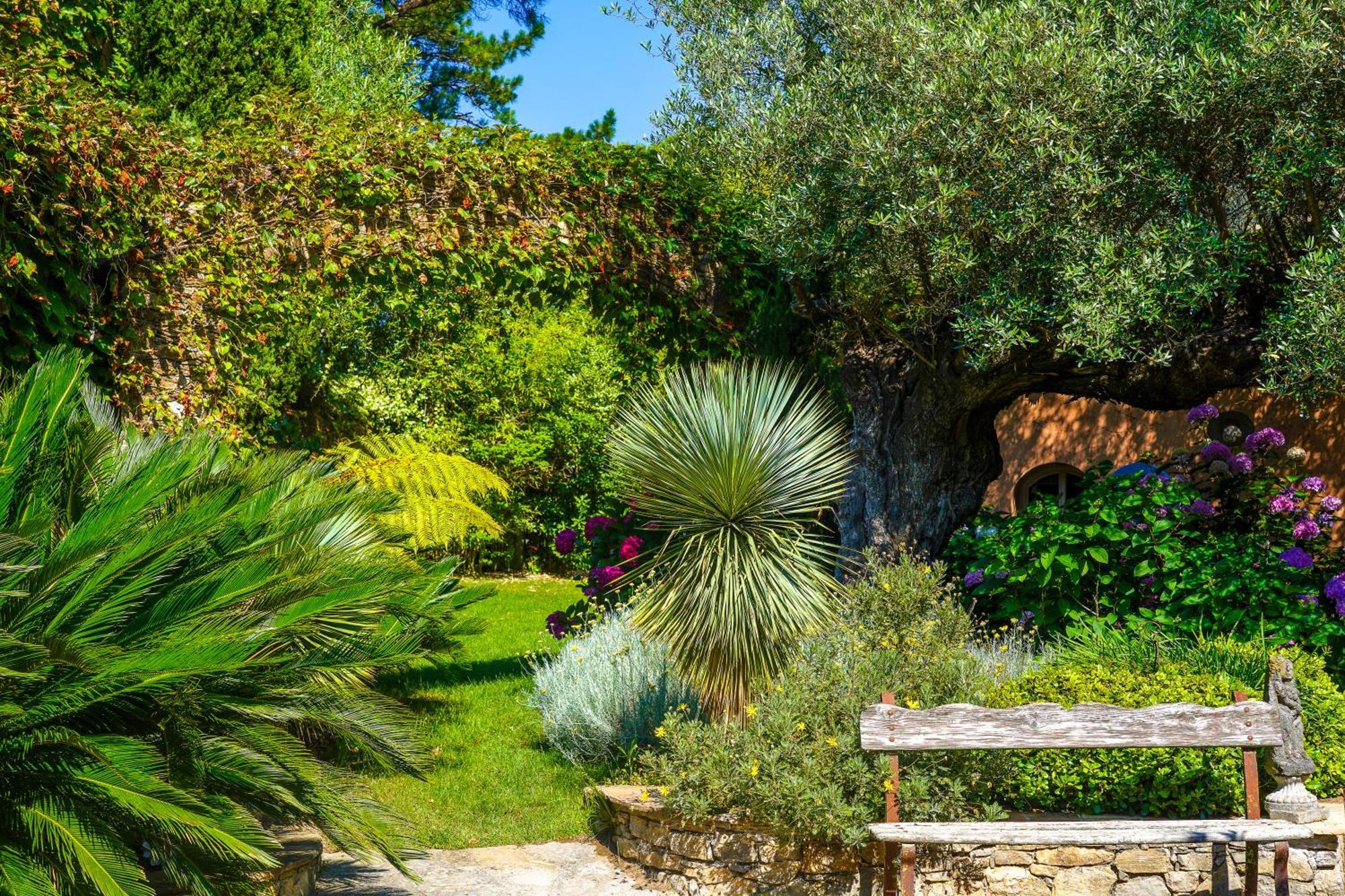 فندق Domaine Les Mesanges جاسّا المظهر الخارجي الصورة