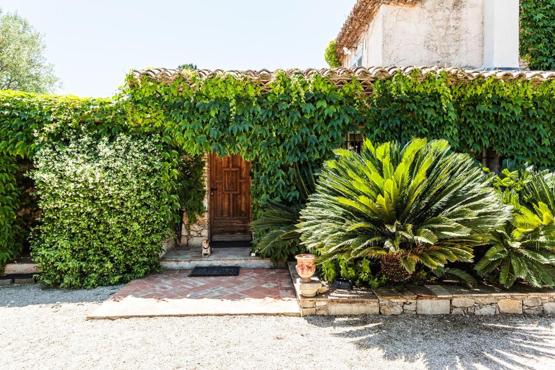فندق Domaine Les Mesanges جاسّا المظهر الخارجي الصورة
